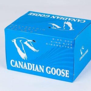 canadian goose lights 1.jpg