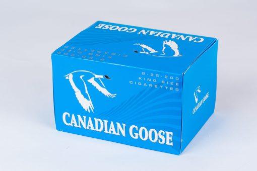 canadian goose lights 1.jpg canadian goose lights 1.jpg