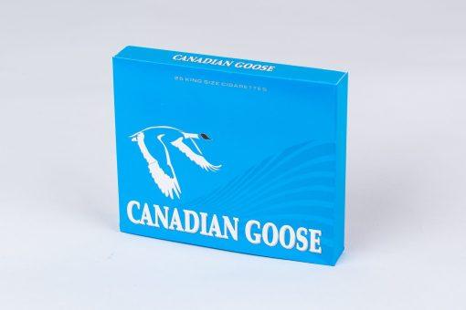 canadian goose lights 2.jpg canadian goose lights 2.jpg