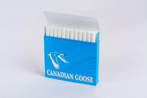 canadian goose lights 3.jpg canadian goose lights 3.jpg