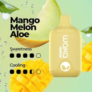 mango melon aloe.jpg