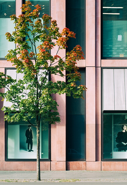store 03 free img.jpg